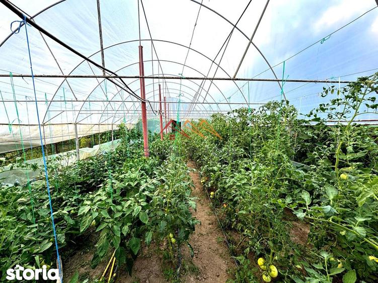 Casa 4 camere, anexe, recent renovata, foisor, teren 781mp, Izvoru, DB - 11