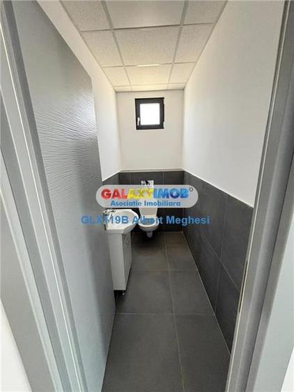 Inchiriere hala depozitare Parc Industrial TBM Rudeni - 14