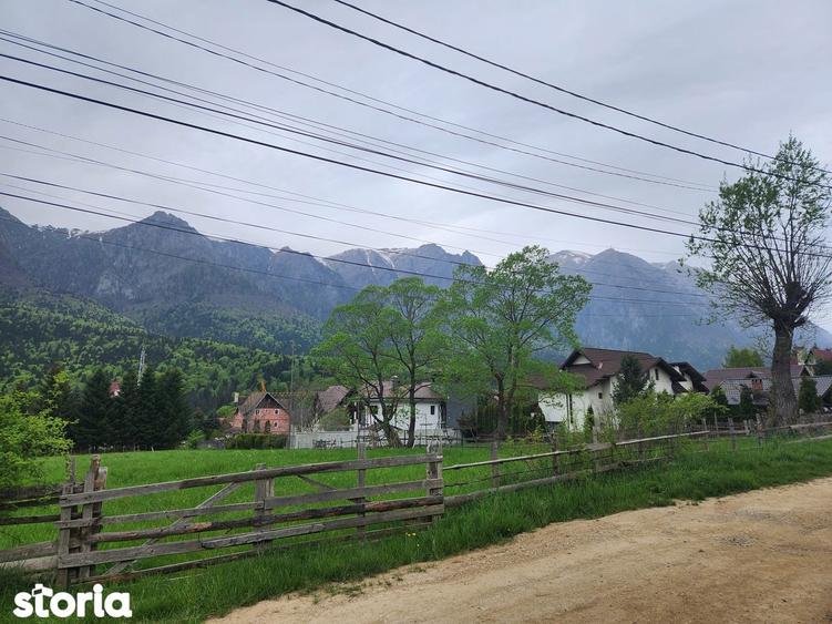 Teren situat in Busteni-Poiana Tapului in suprafata 2.675 mp ! - 3