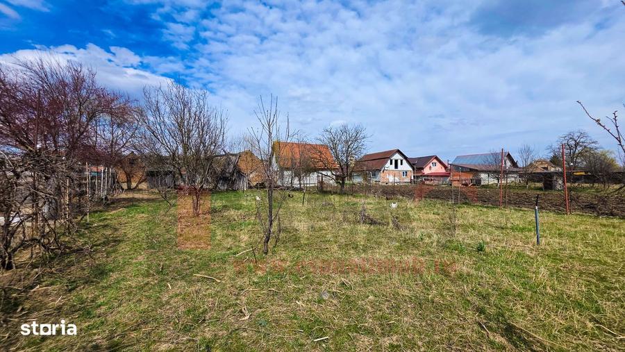 Ocazie: Casa cu Teren Generos de 790 mp in Marpod, jud. Sibiu |VIDEO - 12