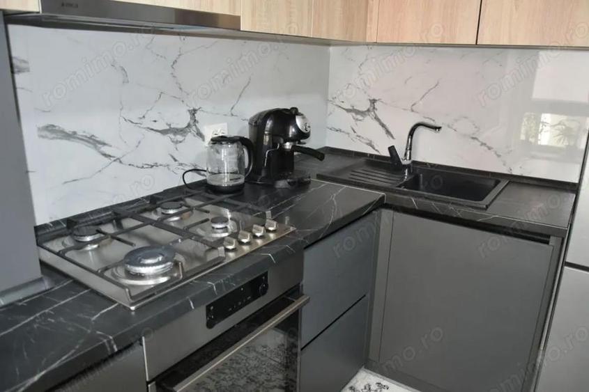 Apartament 1 camera de inchiriat in zona Lipovei - 2