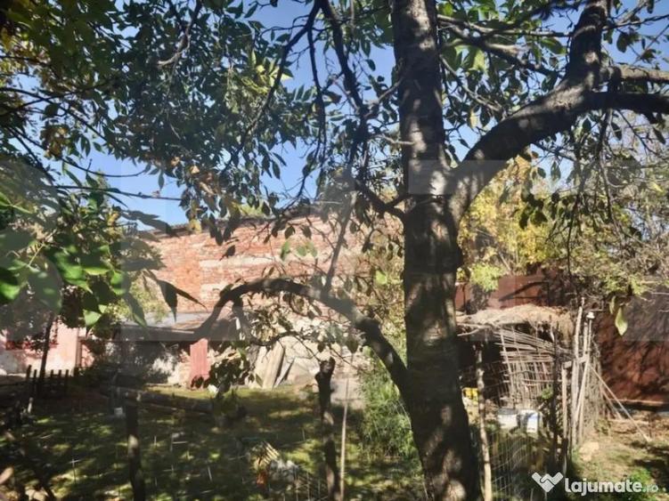 Vanzare Casa / Vila Giroc / Fratelia - 3