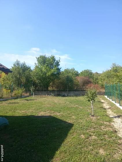 Casa de vacanta Calinesti Arges - 2