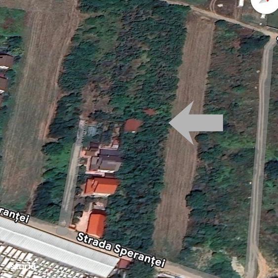 Vanzare teren intravilan 5014mp Afumati - Strada Sperantei - 4