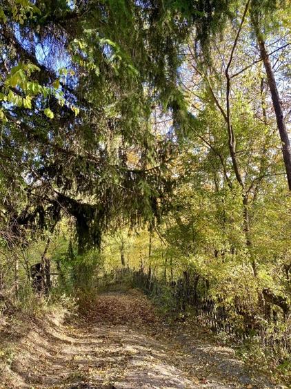 Teren retras panoramic Valea Doftanei 1350 mp panta lina, cu utilitati - 12