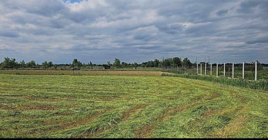 Teren de vanzare in Ciolpani - 2