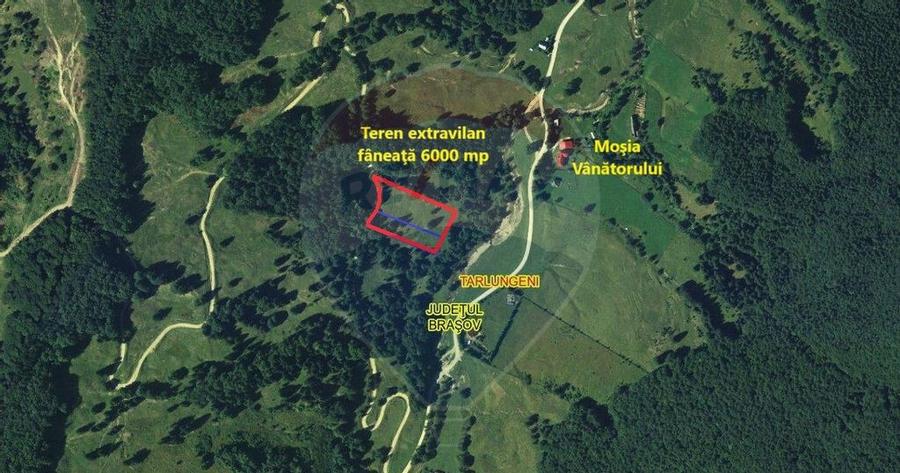 Teren 6000 mp, Vama Buzaului - vedere catre Ciuca? - 8