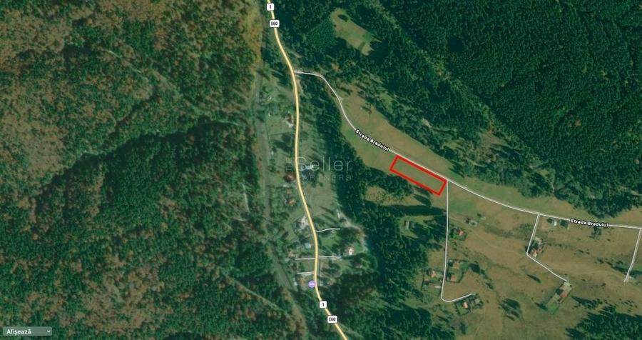 Poiana lui Manole - teren Intravilan - 12