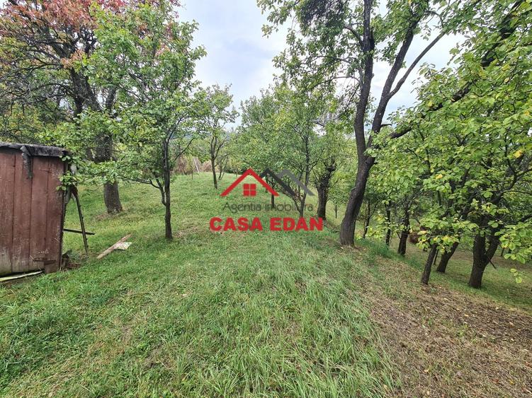 Teren intravilan in Sotrile--1671m--13e - 10