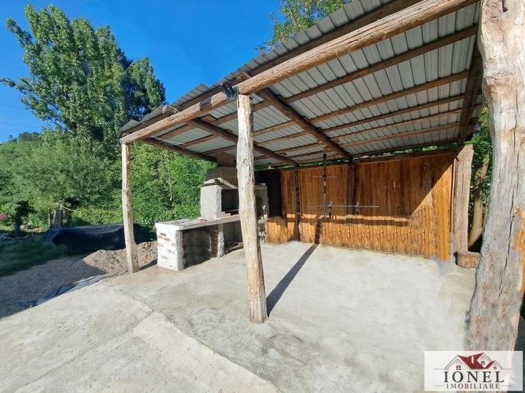 Vanzare casa cu 19.549 mp teren in Vintu de Jos - Valea Vintului - 8