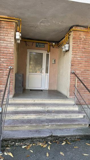 Buzias apartament cu 1 camera - 7