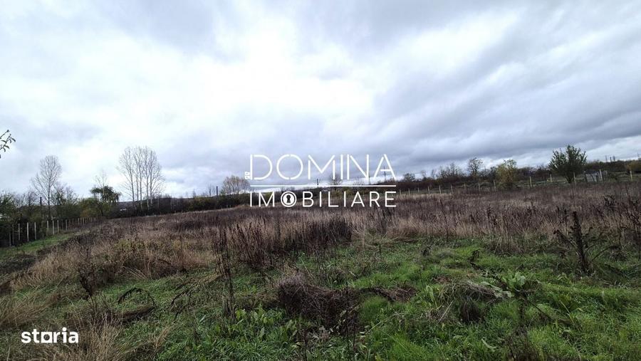 Teren intravilan 1533 mp, DN 66, cartier Iezureni, Targu Jiu - 4