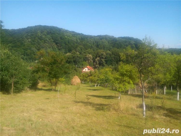 Vand vila si teren intr-o zona superba in loc. Savarsin (jud. Arad) - 9