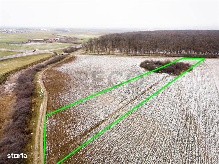 RECO Teren extravilan Nojorid langa Inelul Metropolitan - 2