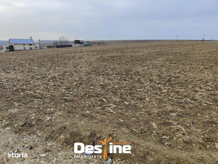 Comision 0% - Teren Primarie Dumesti, 8100 mp, front 13 ml, - 3