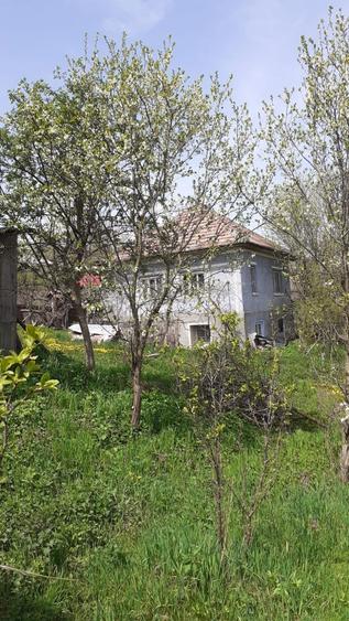 Vand casa cu gradina - 2