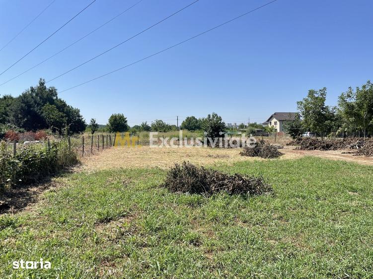 Teren 1.487 mp, doua deschideri la drum, Stefanestii Noi Zavoi - 8