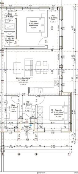 Duplex cu 3 camere, pe parter, in Sacalaz - 2