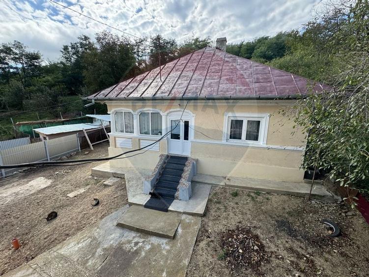 Casa  de vanzare -Orbic-Buhusi - 1