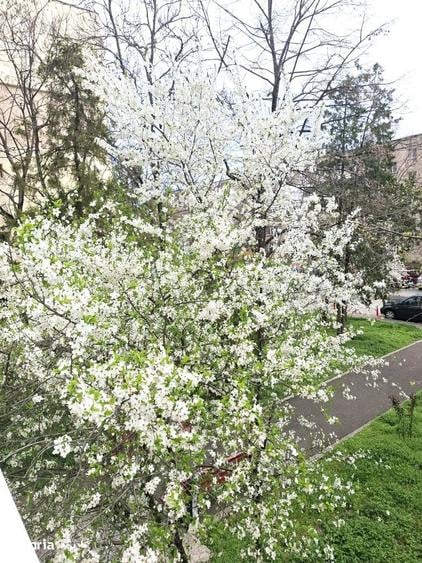 3 camere , etaj 1, bld. Balcescu , mobilat , 0% comision - 6