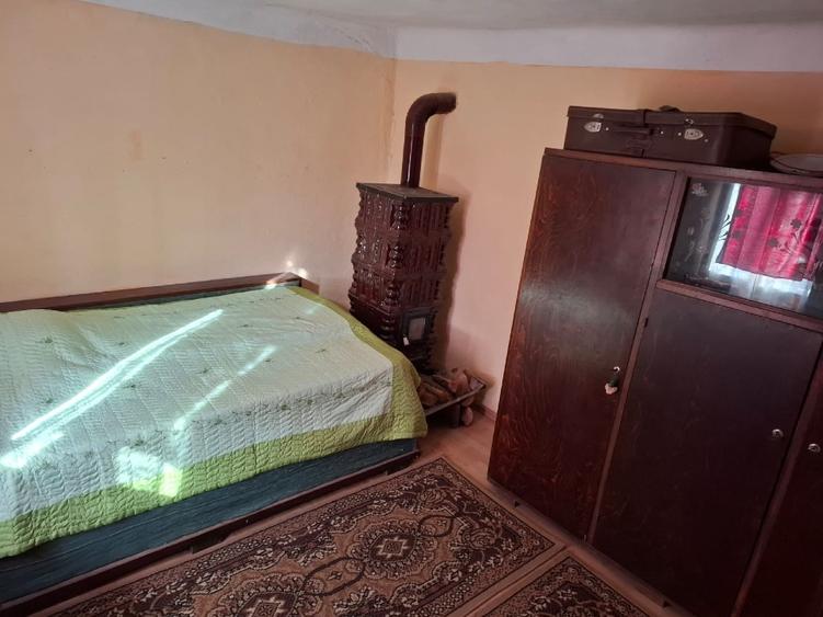 Casa la curte Lalosu, Portaresti, VL - 10