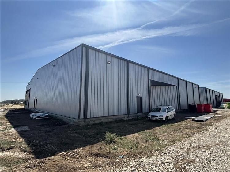 Inchiriere depozit/hala/spatiu industrial Mogosoaia - Buftea - 3