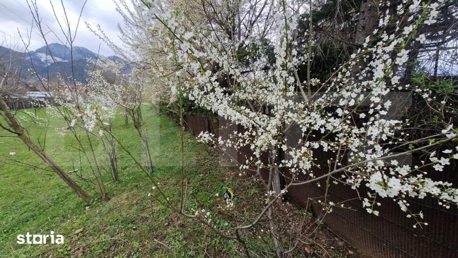 Teren intravilan cu 2 deschideri la drum 35 m, 4300 mp, Baciu Sacele - - 5