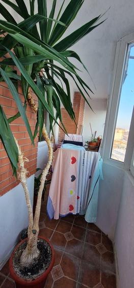 Patru camere comfort maxim - 19