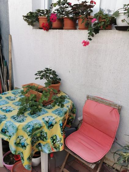 Alexandriei, Bragadiru - 3