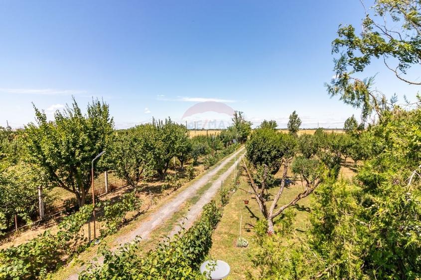 Casa+Laborator+ Teren 12.700 mp + casa de vacanta - Bolintin Vale - 27