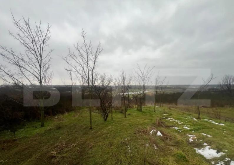 Teren intravilan, 2298 mp, strada Robanesti - 6