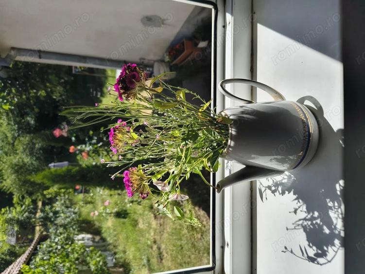 Casa vanzare Sighisoara - 4