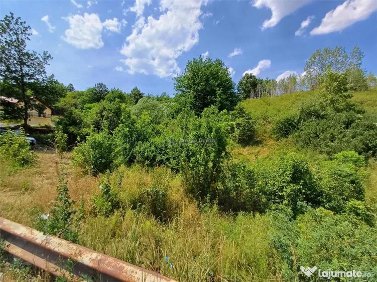 Resita, Terenuri Intravilane 2000 Mp., 20 Euro/Mp., Calea Ca - 11