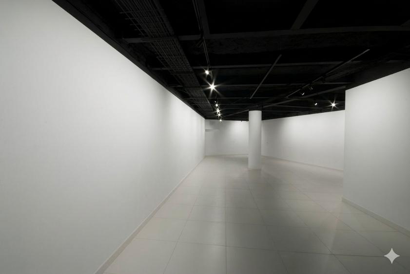 Spatiu pentru expozitii, galerie de arta - Romana - 1