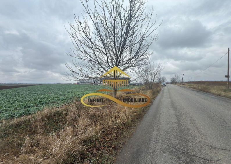 Teren industrial de vanzare in Bacau zona RAR - 2