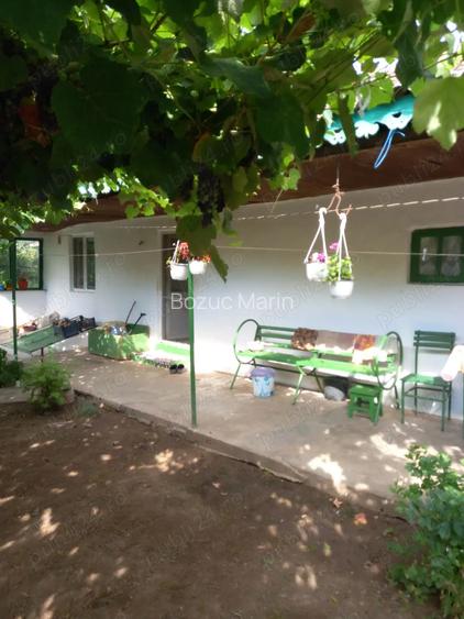 Casa batraneasca 2 corpuri + teren 3200 mp cu vie - loc. Mircea Voda, Tulcea