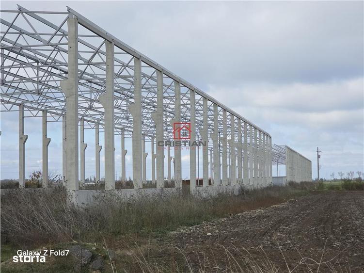Vanzare depozithalaspatiu industrial Mogosoaia - Buftea - 5