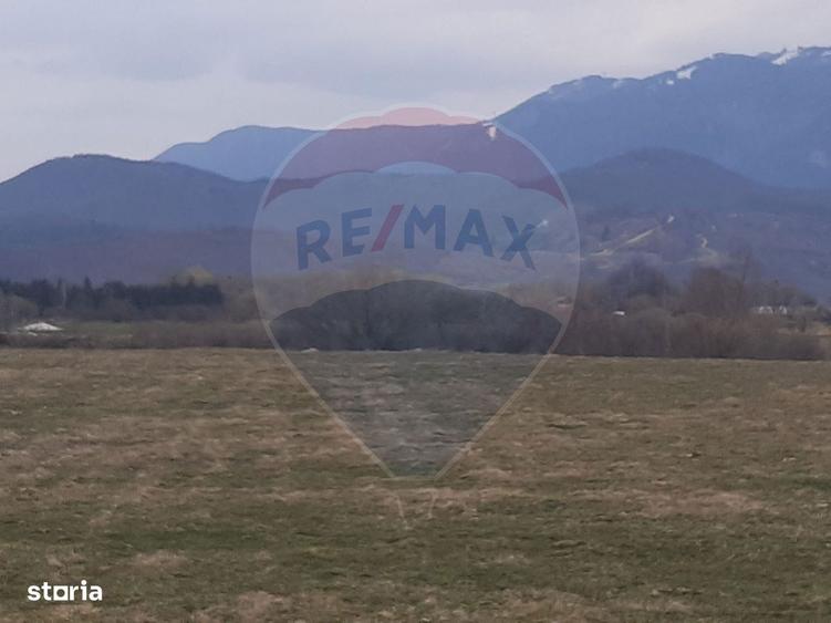 Teren 10,000mp Rasnov / Drumul Panicel - 5