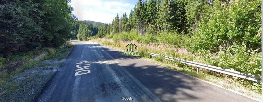 Teren /Obarsia Lotrului /DN 7A - 3