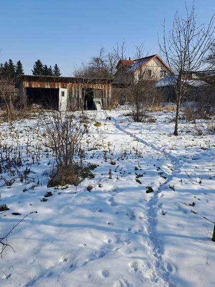 Dascalu, casa veche 4 camere, acoperis nou, teren 1300 mp, deschidere 39 m - 14