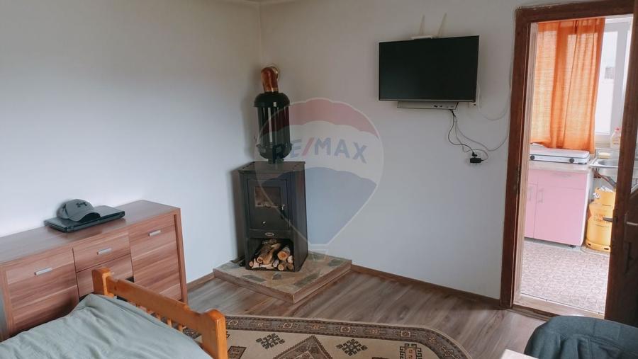 CASA + Casuta - DE VANZARE in Baia Sprie - 12