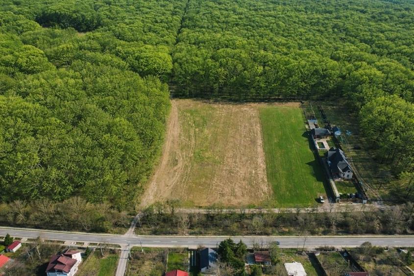EXCLUSIVITATE-PROIECT UNIC IN PADUREA SNAGOV! Loturi de teren , PUZ rezidential - 3