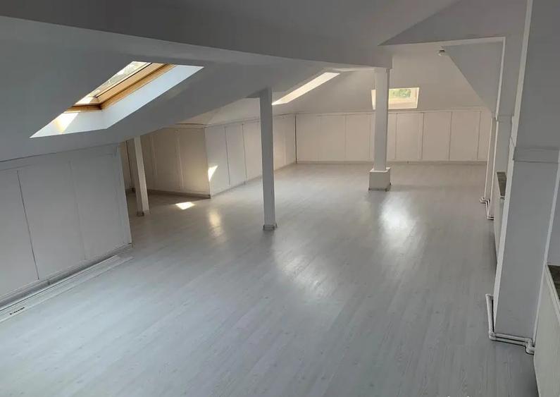 Casa cu destinatie comerciala 335 mp - 15