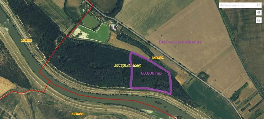 Teren extravilan (padure) de vanzare/exploatare lemn, Mitreni, CL - 1