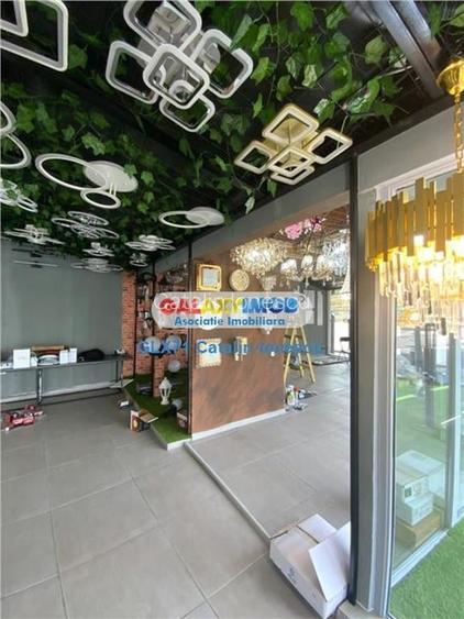 Super vad, Cascadelor colt cu Preciziei, inchiriat, INVESTITIE Super vad, Cascadelor colt cu Preciziei, inchiriat, INVESTITIE