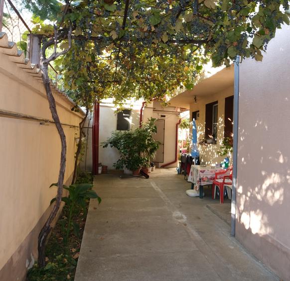 Vanzre 3 corpuri de case noi plus gradina in zona Mihai Bravu Bucuresti - 6