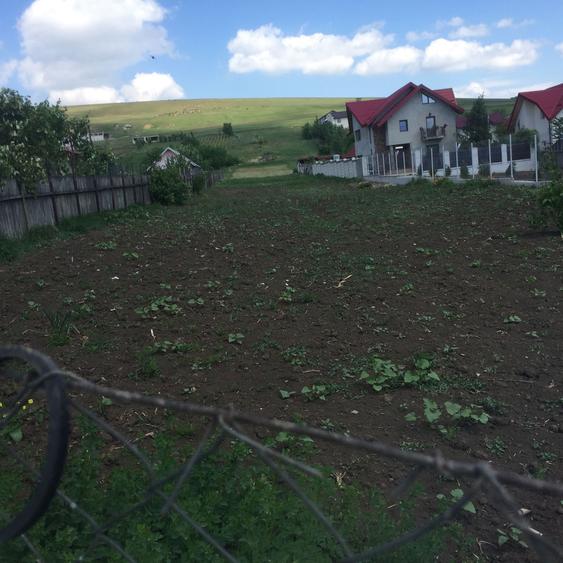 Teren de vanzare - 5