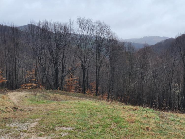 Teren Poiana Marului pretabil investitie 5 euro/mp - 4