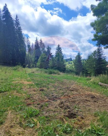 Teren in Bucovina, intravilan 3824 mp Deia-Frumosu, Suceava - 1