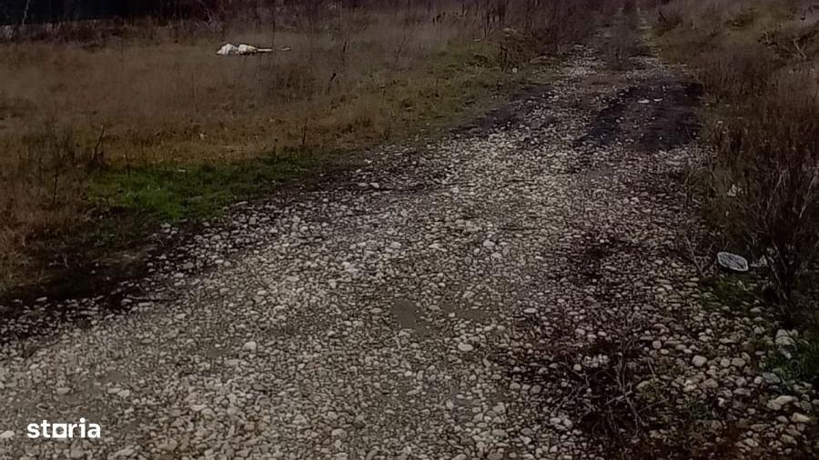 Teren Intravilan 11075 mp Otopeni Ilfov - 3